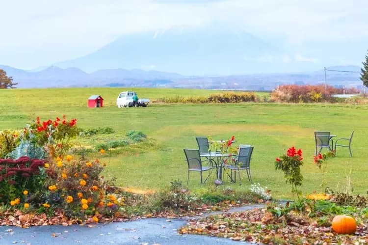 北海道官方旅遊網站-洞爺湖農場(送香濃冰淇淋)