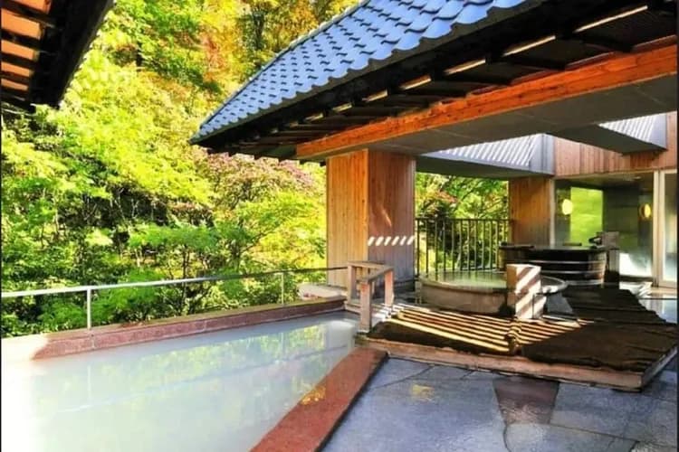 登別石水亭官網提供-登別：石水亭溫泉(乙晚)