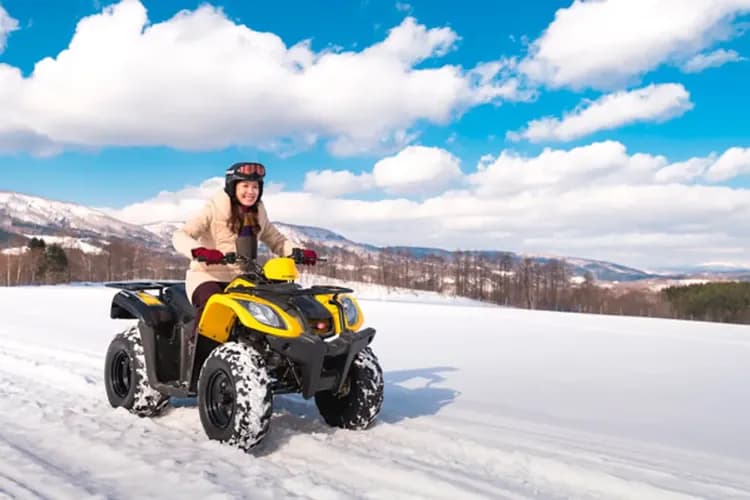 雪上活動五合一