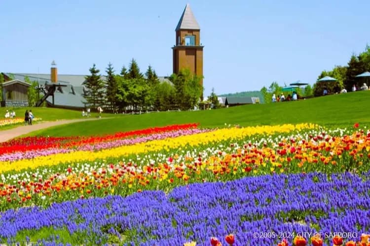 瀧野鈴蘭公園(花期5月中旬～6月)