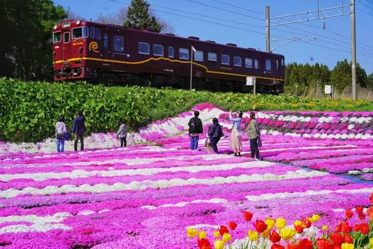 北海道好星情～小樽函館山、洞爺湖花火船、雙鐵道體驗、三大蟹三溫泉五日