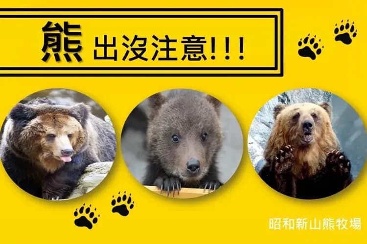 熊牧場(贈送兩顆蘋果或餅乾，可供餵食)