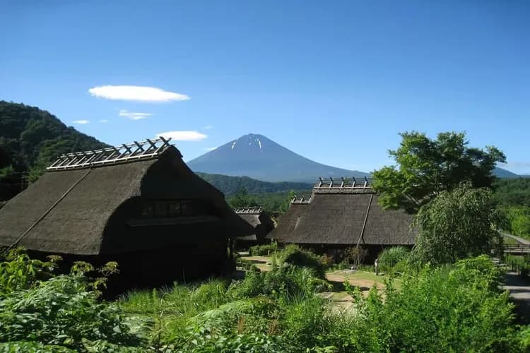 写真提供：西湖いやしの里根場-西湖合掌村