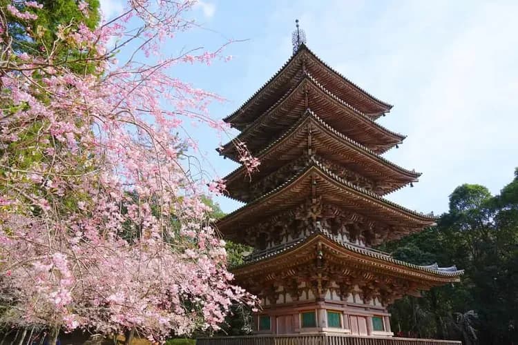 KHH連休關西秘境～竹田天空之城、美山合掌村、伊根灣觀光船、天橋立姬路城五日