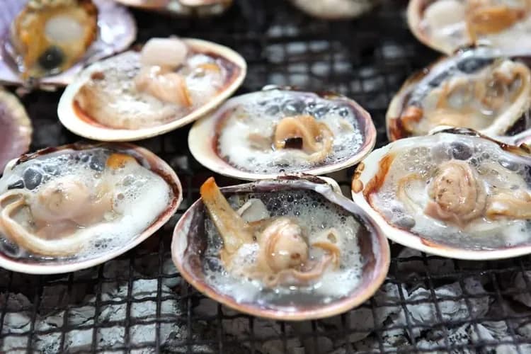 海女小屋體驗(現烤伊勢志摩海鮮)