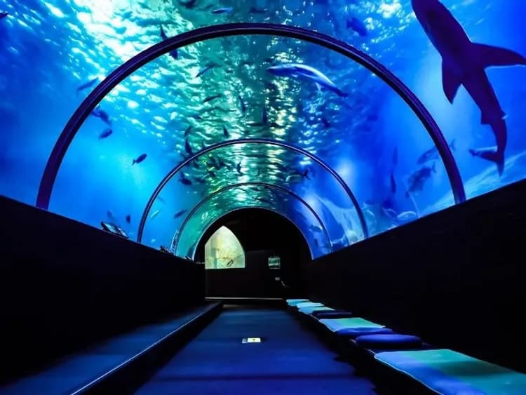 南紀紫藤戀曲～最美海岸秘境、夢幻紫藤花季、海女屋烤海鮮、伊勢志摩旅行五日-7