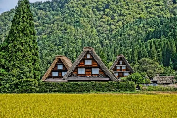 白川鄉合掌村(世界文化遺產)