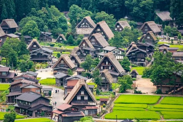 白川鄉合掌村(世界文化遺產)