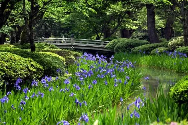 金澤兼六園