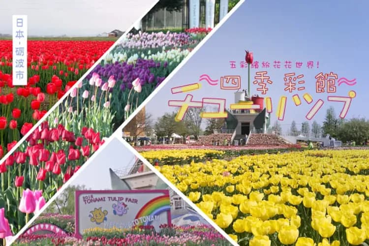 花現雪壁傳奇～立山黑部、鬱金香博覽會、合掌村兼六園、花桃之里溫泉香五日