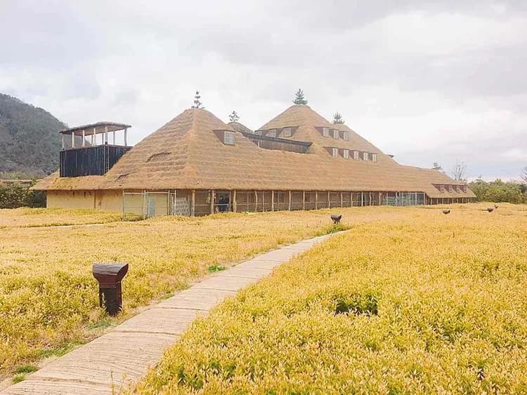 近江八幡LA COLLINA