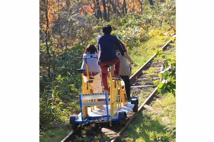 連休瘋東北～白神十二湖、奧入瀨輕健行、生剝鬼太鼓秀、百年小坂鐵道四日(青森進出)-6