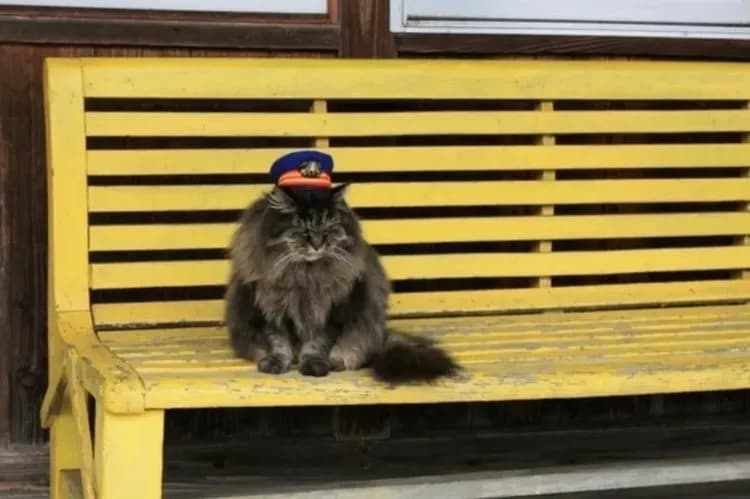 圖片來源：會津鐵道FACEBOOK-會津懷舊鐵道(湯野上溫泉++蘆之牧溫泉)