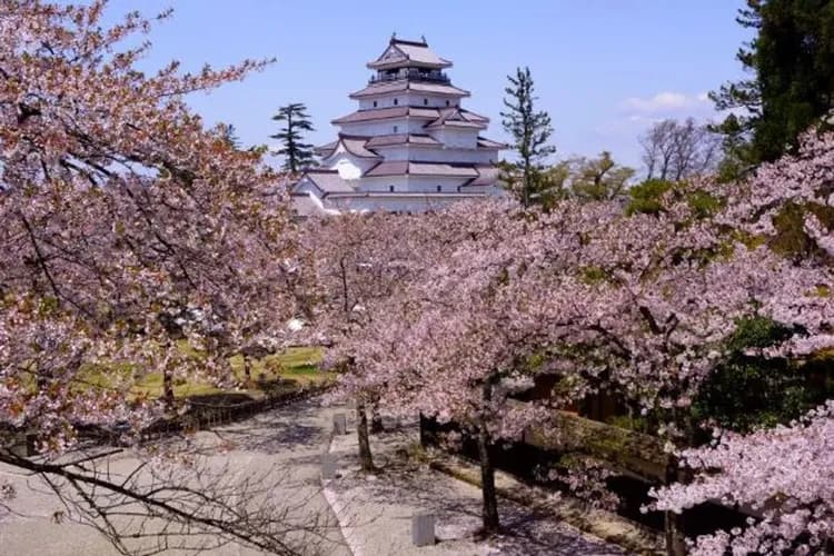 會津若松城(櫻花百選)