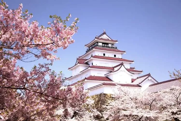 會津若松城(櫻花百選)