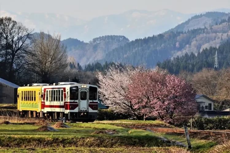 連休瘋東北～奧入瀨森呼吸、弘前城賞櫻花、星野度假村、溫泉百選飯店五日