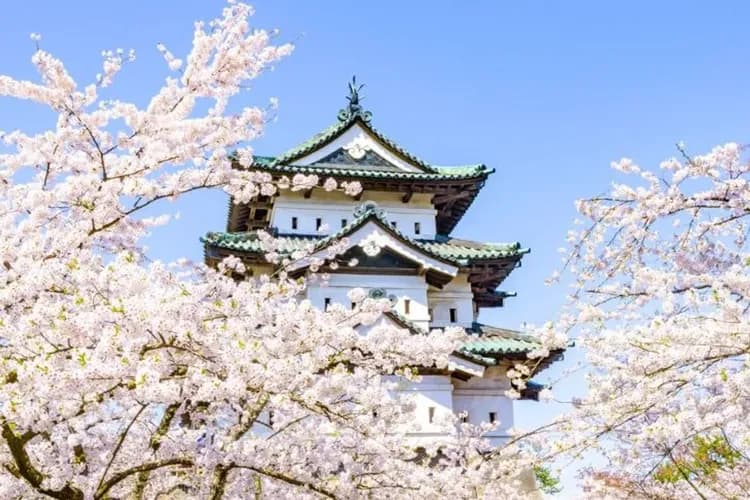 弘前城(櫻花百選)