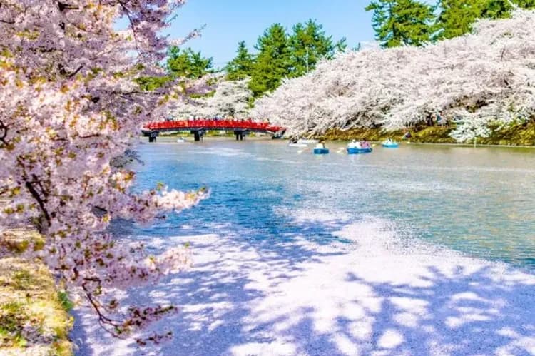 弘前城(櫻花百選)