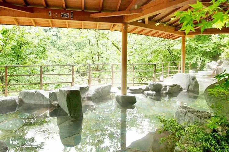 吉川屋-五星の宿溫泉飯店(乙晚)