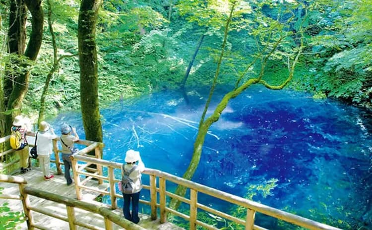 白神山地十二湖(世界遺產)