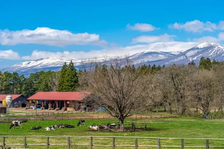小岩井農場(送冰淇淋一支)