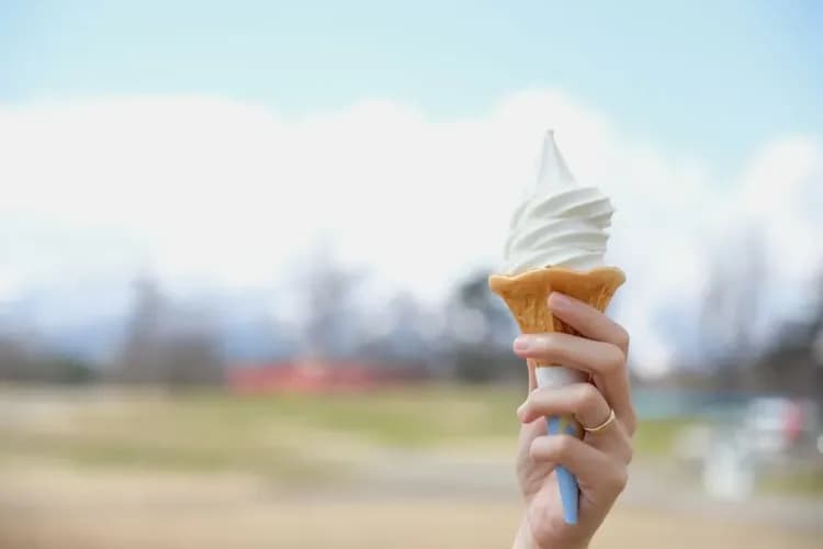 小岩井農場(送冰淇淋一支)