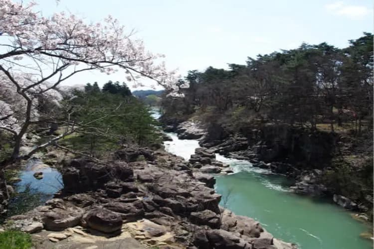 嚴美溪(送郭公糰子)