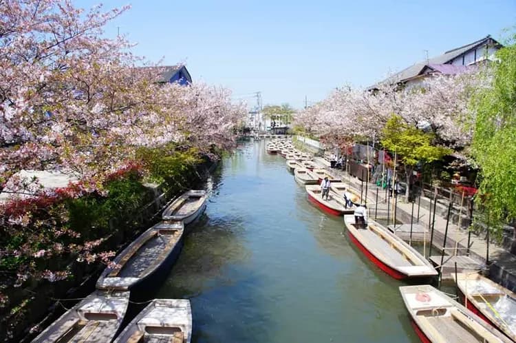 柳川搖船(約30分鐘)