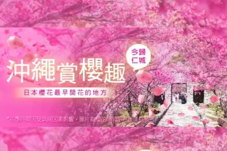 沖繩賞櫻第一線