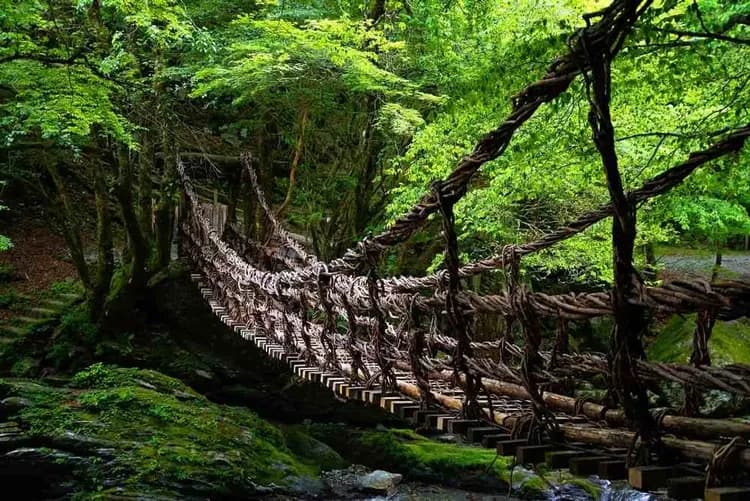 高松四國～愛媛松山城、大步危遊覽船、土佐和紙體驗、名園名景漫遊五日-7
