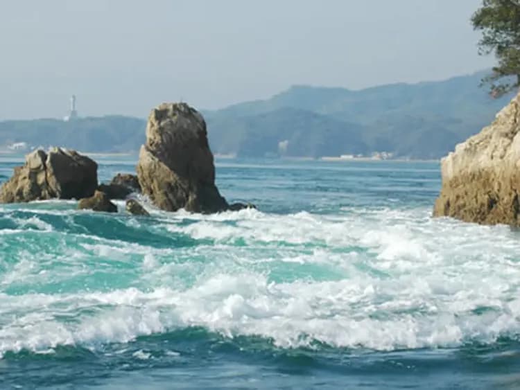 來島海峽觀潮船