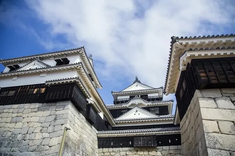 松山城(來回纜車+上天守閣)