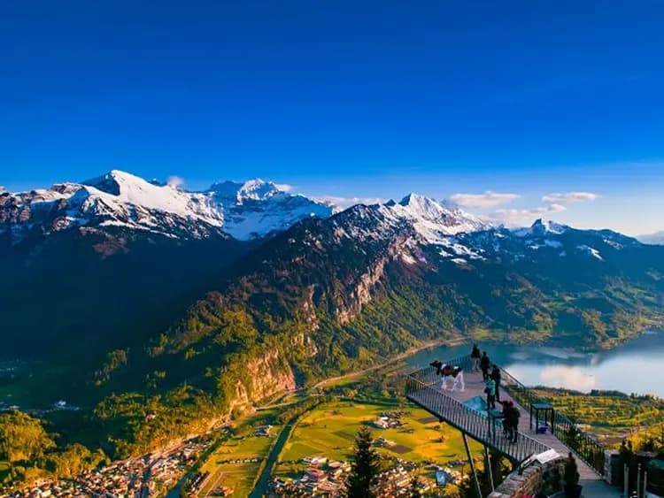 哈德昆景觀台 Harder Kulm-少女峰雙景觀