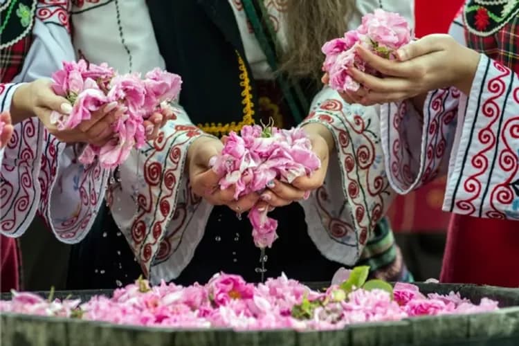 卡贊勒克-玫瑰谷-保加利亞玫瑰節