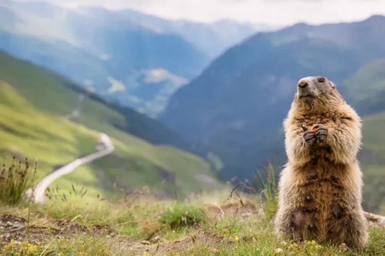 大鐘山景觀公路-大鐘山景觀公路