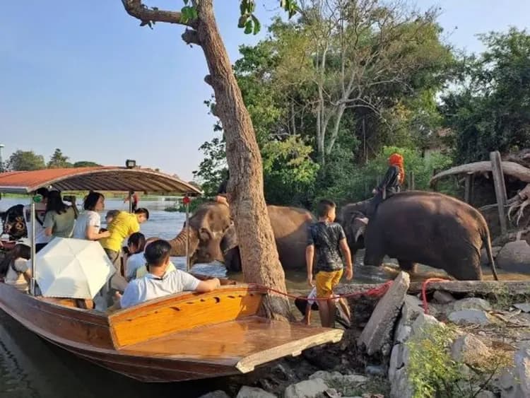 與大象有約(搭長尾船遊觀賞大象)