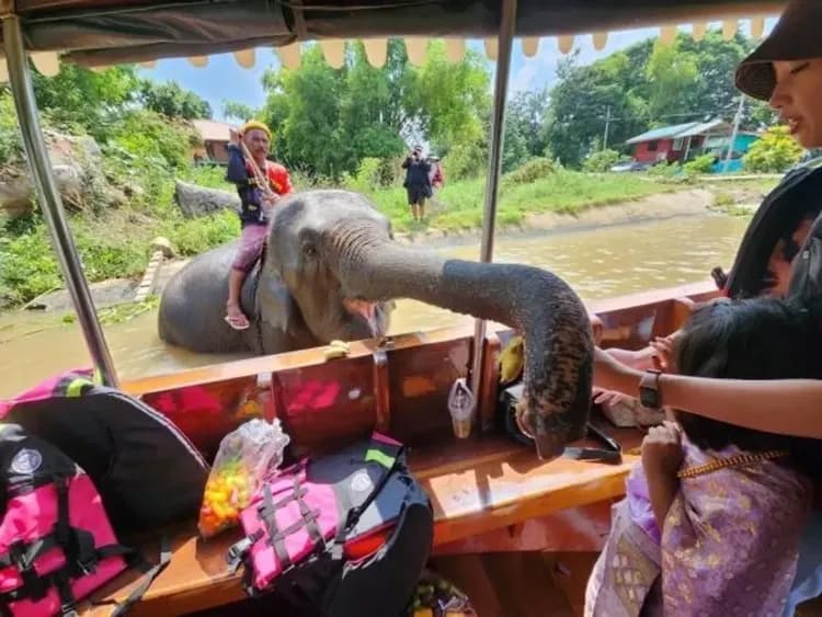 與大象有約(搭長尾船遊觀賞大象)
