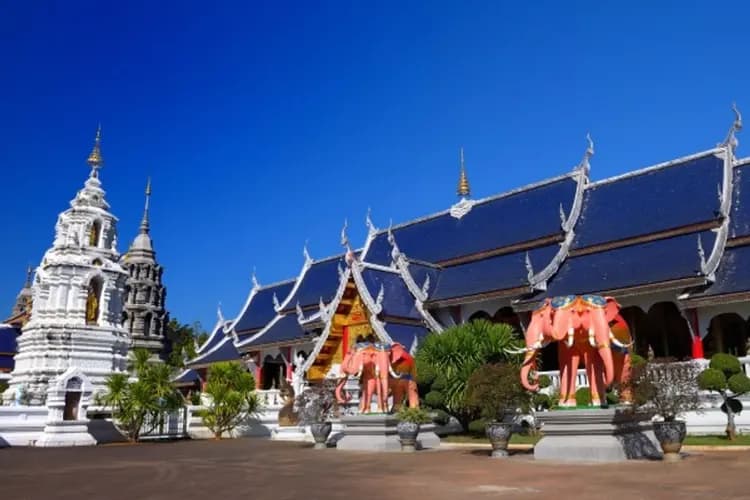 TXG泰北喜迎春～清萊金三角、大象保育營、蘭納古城漫遊、清邁五星飯店五日