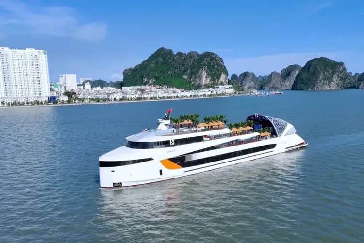 海豚號Dolphin Day Cruise