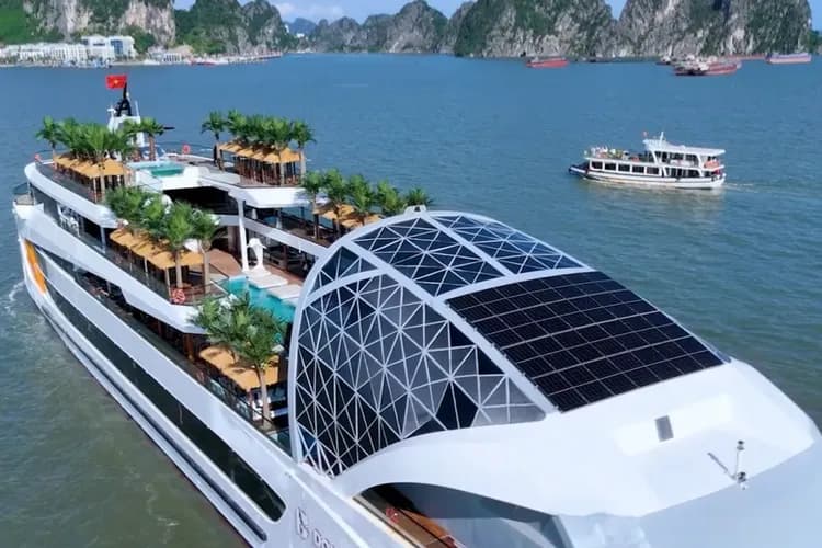 海豚號Dolphin Day Cruise