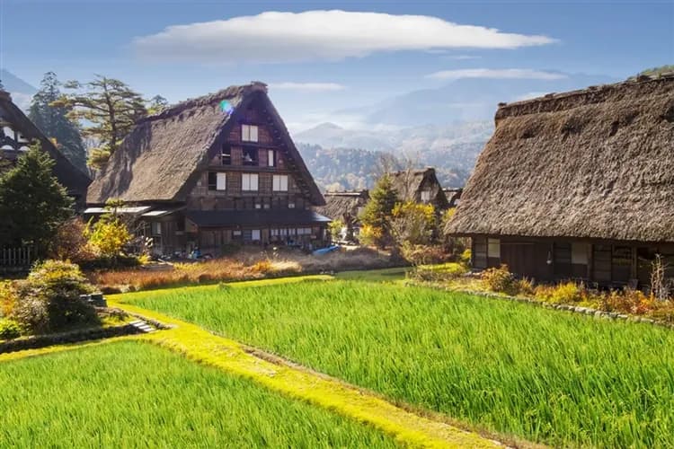 北陸旅遊｜台灣虎航名古屋｜立山雪牆絕景～童話合掌村.兼六園.上高地.鬱金香.上三之町散策.國寶松本城五日｜高雄來回