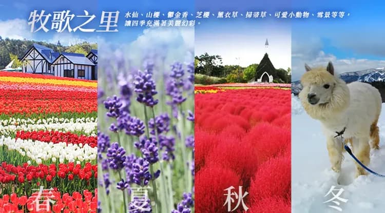 年度盛事～北陸立山黑部雪壁｜仙境上高地.童話合掌村.花卉協奏曲~贈香濃冰淇淋.松本城.郡上八幡.燒肉BBQ.雙溫泉五日