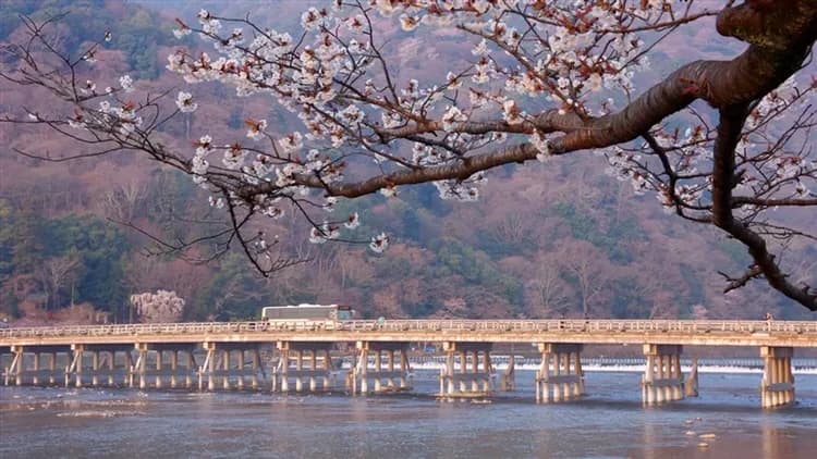 大阪旅遊｜春櫻京阪神奈~日本環球影城瑪利歐.醍醐寺.哲學之道.東大寺.清水寺五日｜高雄來回