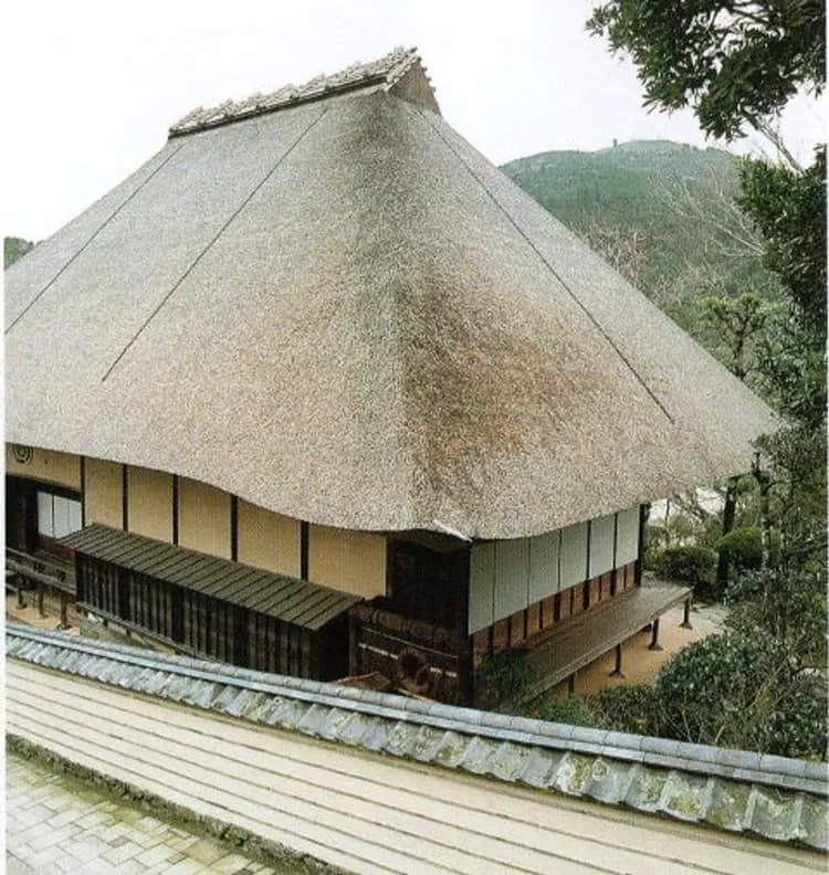 星光燦爛Ｘ高松物語｜春櫻四國雙鐵道5日｜伊予灘&千年物語．道後夜櫻賞．秘境祖谷．台中出發｜高松進出雙溫泉-5