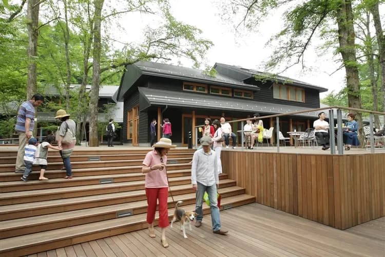 秒殺東京旅遊｜東京台場.輕井澤.伊香保石階梯.草津溫泉湯畑.雪上活動.手撈湯葉體驗.螃蟹美食雙溫泉5日-8