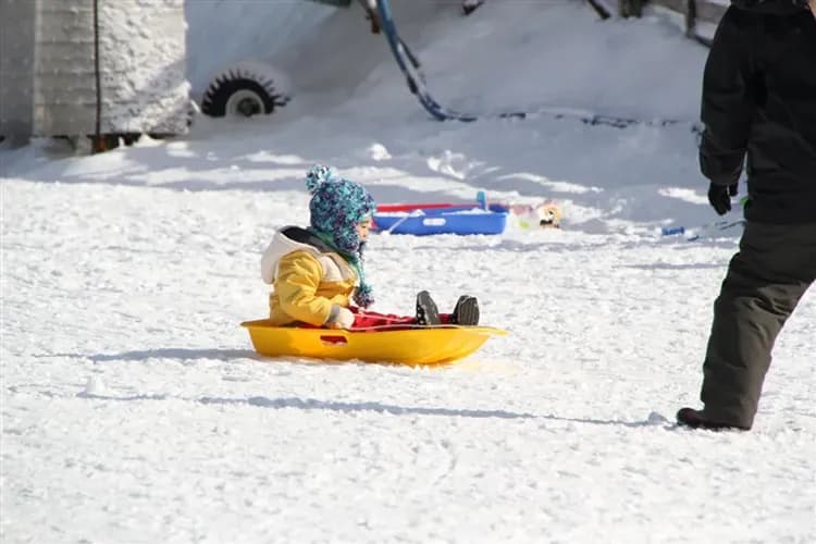 雙宿東京｜雙連泊輕鬆遊.富士山x箱根鐵道x河口湖遊船.敘敘苑.蟹暢食.OUTLET.冬季戲雪雙湯五日｜保住箱根御殿場2晚