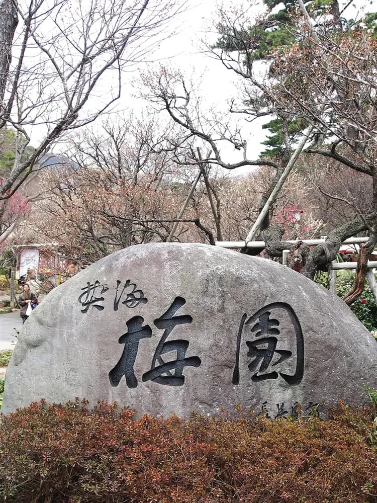 過年折3,000｜賀歲東京｜東京萬豪x溫泉兩晚.時之栖燈光節.河津櫻.伊豆纜車.採果樂.天晴號.三大蟹X和牛燒肉美食五日