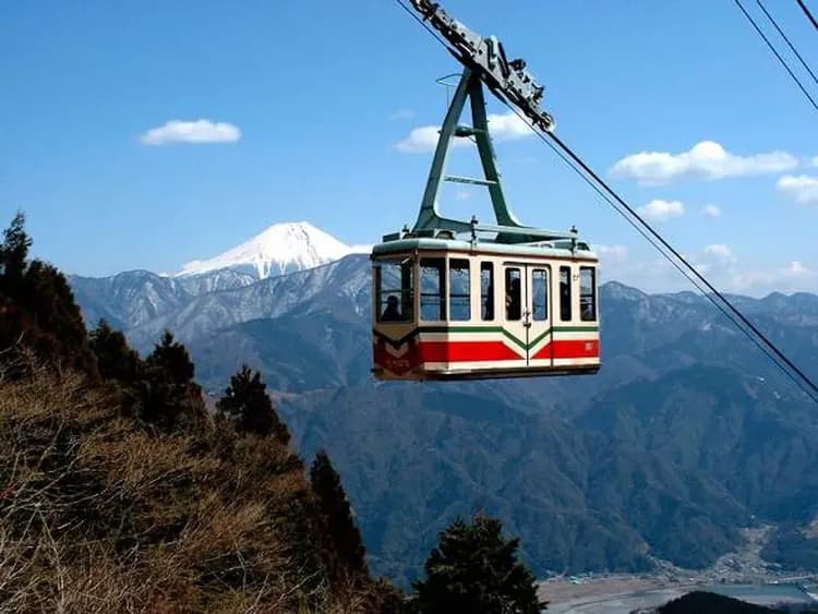 東京旅遊｜春櫻｜賞櫻名所～新宿御苑.小田原城.橫濱三溪園.隅田公園.身延山纜車.遊船.敘敘苑燒肉.螃蟹溫泉六日｜高雄來回