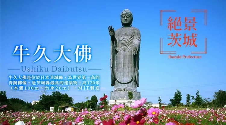 東京旅遊｜無自理餐｜日立粉蝶花.粉色芝櫻.浪漫紫藤花.日光東照宮.偕樂園.牛久大佛.美食溫泉五日｜高雄來回-8