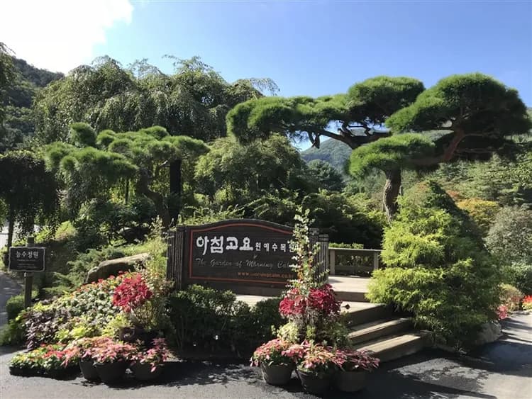 賞櫻預購折2000｜賞櫻季.歐洲童話小鎮.四季皆美南怡島.賞櫻首選首爾林.明洞逛街(一站購物彩妝)5日-5